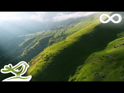 Антистресс-практика